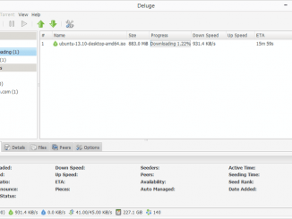 Deluge Torrent Client